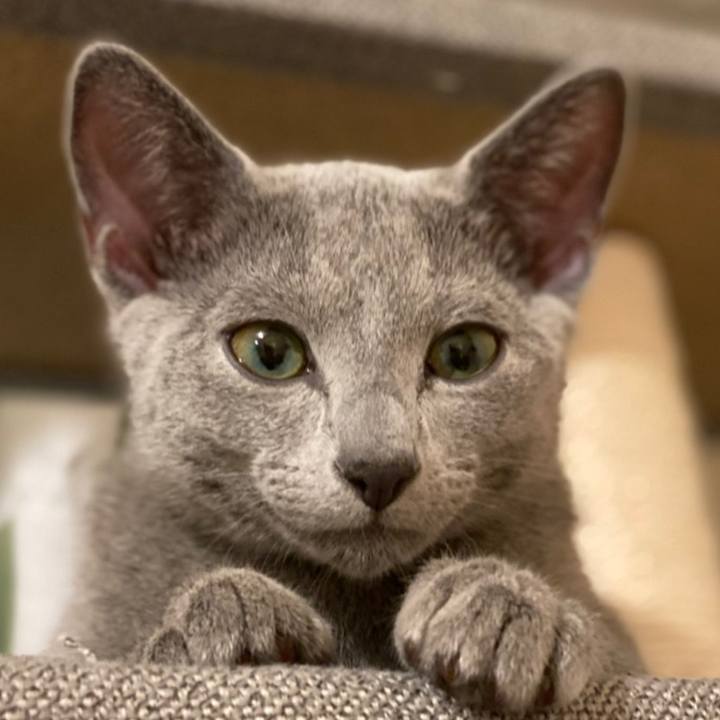 C2d43c6d 9af1 4a28 b2ec 9da0333ed6e2 1606052678922