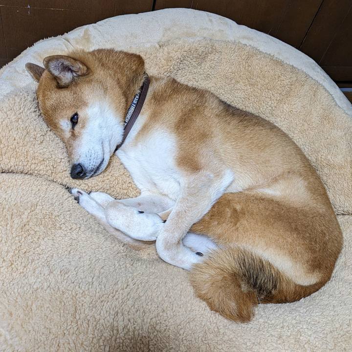 C2d46710 c12a 4fa5 b097 2e55c3925d1b 1706666456597