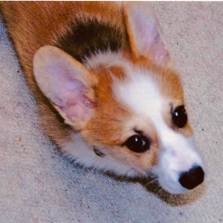 C2d48008 dbcd 410d a4b6 1f614f549f07 1611540001097