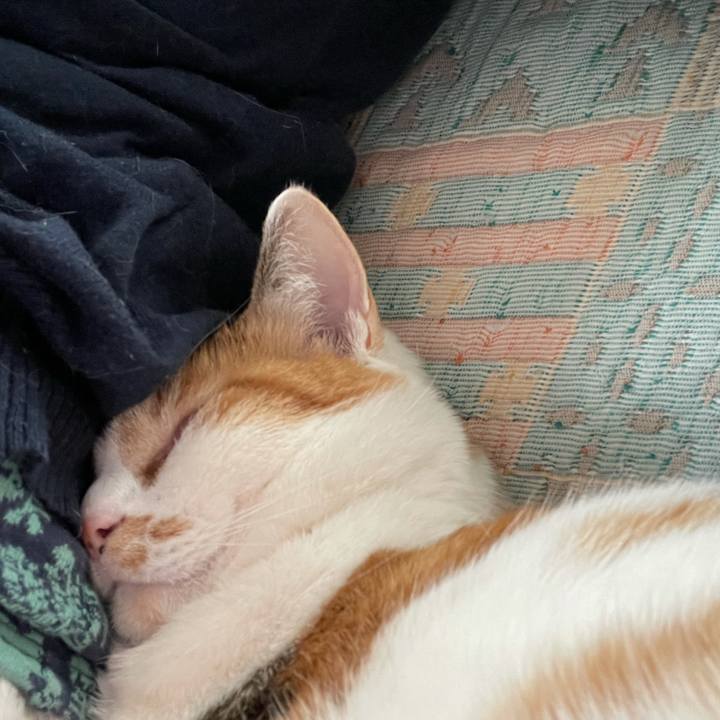 C2d4ac7e 53ae 4b0a a10b 6911c6611f35 1615605768845