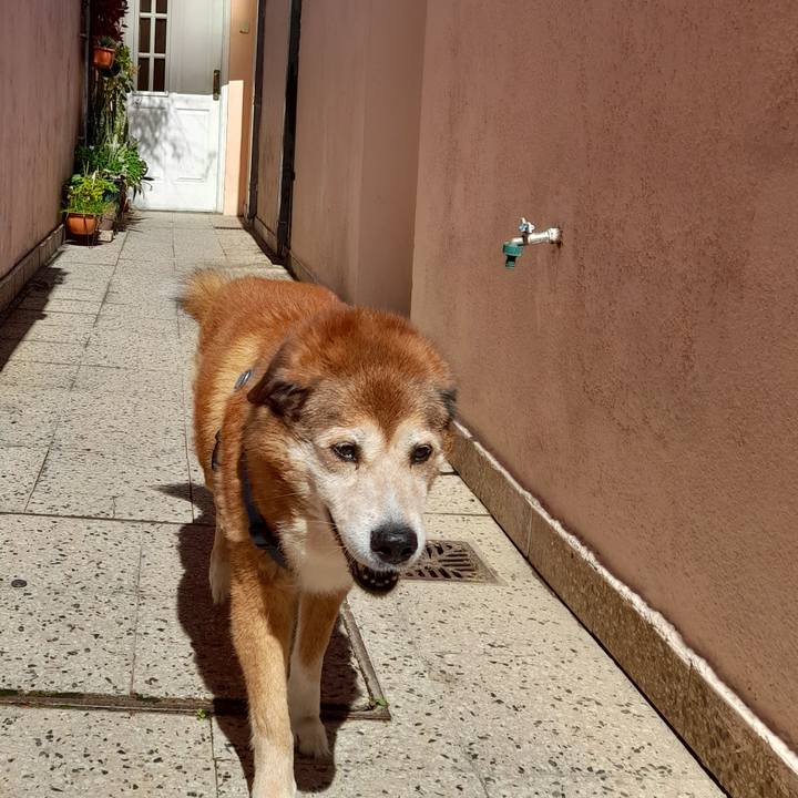 C2d4e518 0de1 44bf a942 b19ab0f4692d 1758074408615