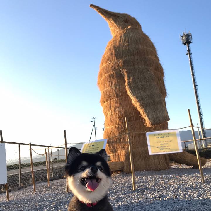 C2d4e885 02c5 42ed 9379 587f105e01d2 1606995603682