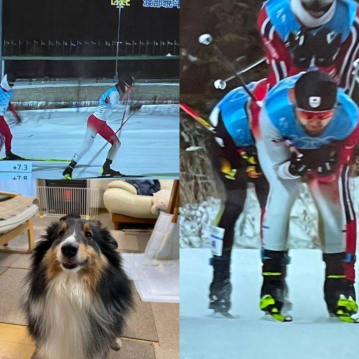 C2d50f2e 86c8 4612 8693 12362f503c72 1644922755326