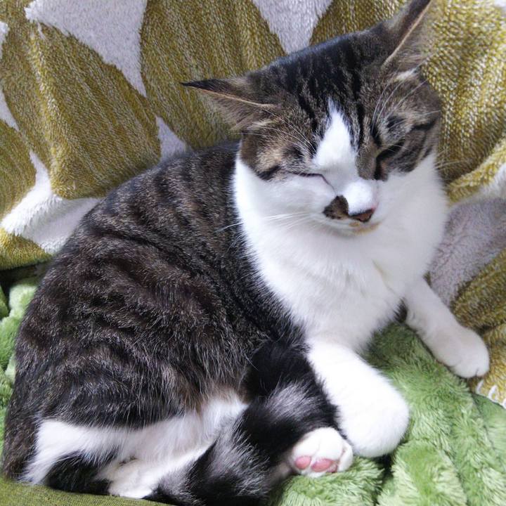 C2d57879 5b54 4b0b 8922 673eb5b49269 1650196675452