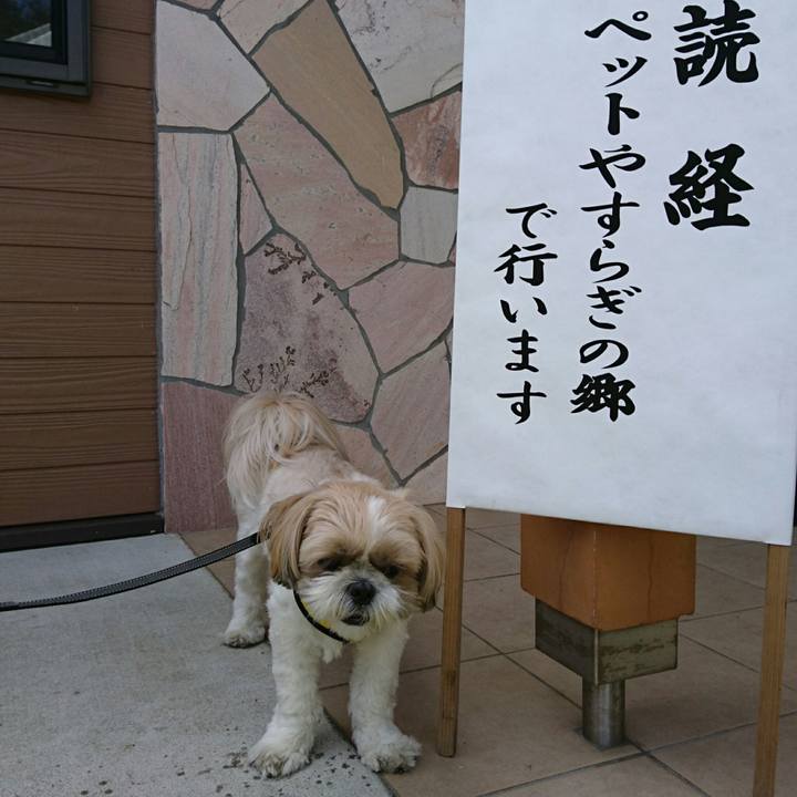 C2d58124 7502 42a3 ba7a 2b9de6db1127 1556418674891