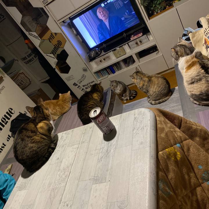 C2d59db5 66d8 4ee0 bb25 8685354d505a 1677336882864