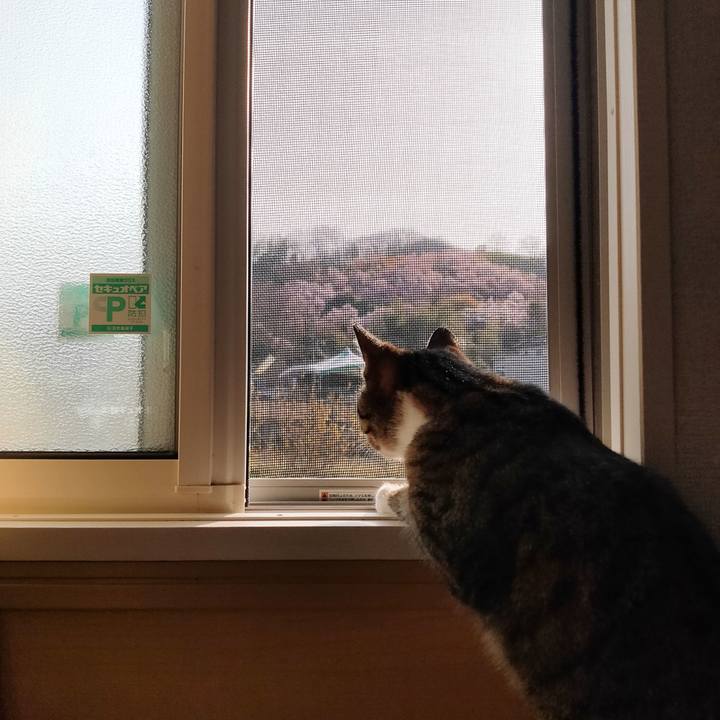 C2d5dbe7 4a1e 47b9 8e18 6c20378b01ad 1649283766486