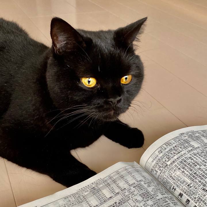 C2d5f6e0 bb1e 47b1 8f57 dce7a6ef3e8c 1601169190597