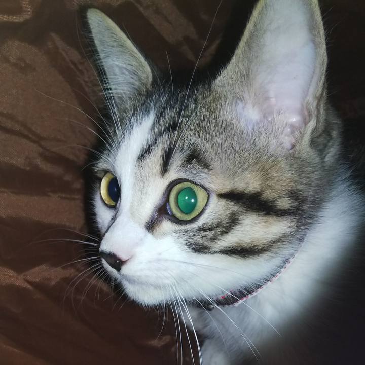 C2d60228 fe57 41a5 af1b 543cd0698615 1608641405239