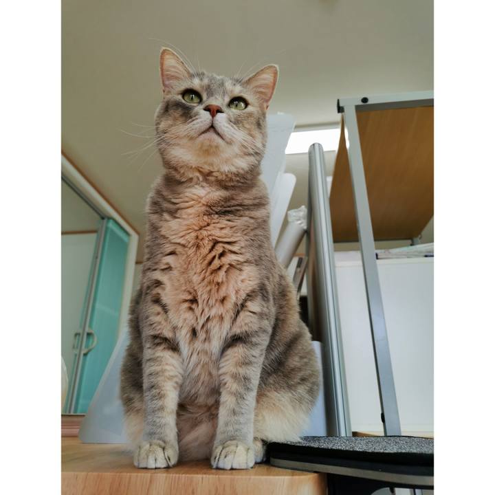 C2d63ff7 9179 4e52 b6d5 f965d704977d 1662351656153