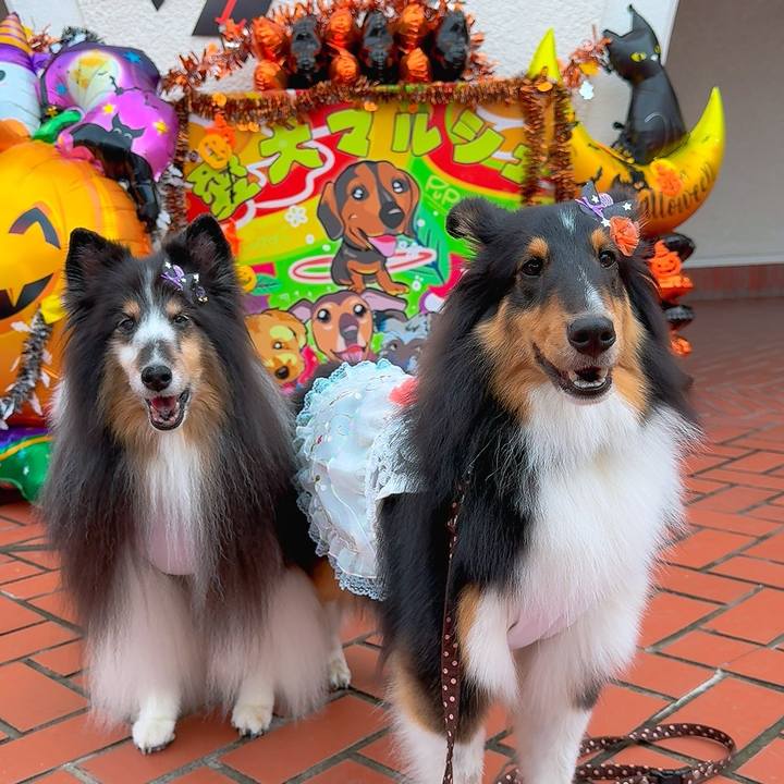 C2d665ca 9eb9 4ab5 993b 8bf1e9368ea5 1760279584967