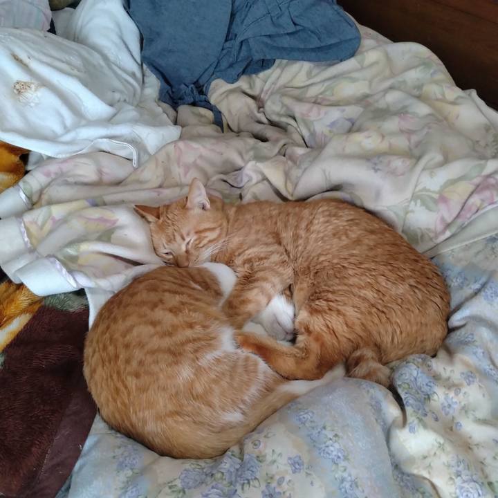 C2d68d14 2f0a 4c7a be40 58302ba950b1 1738916085425