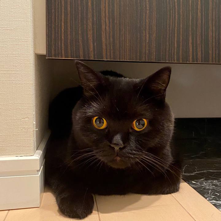 C2d69cf7 1b65 4430 b05b 916359ecf6f2 1603792055138