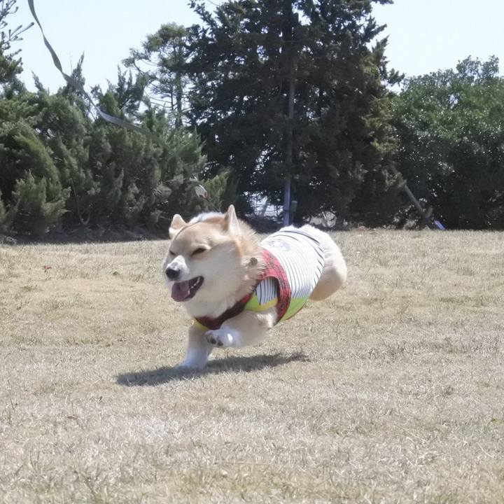 C2d6d61e 89d0 4d58 a6da efe43ff3b4f7 1554610915533