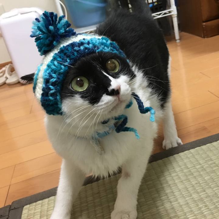 C2d6e62e dc3a 4bd6 9bb2 c2e32744d86e 1518346838502