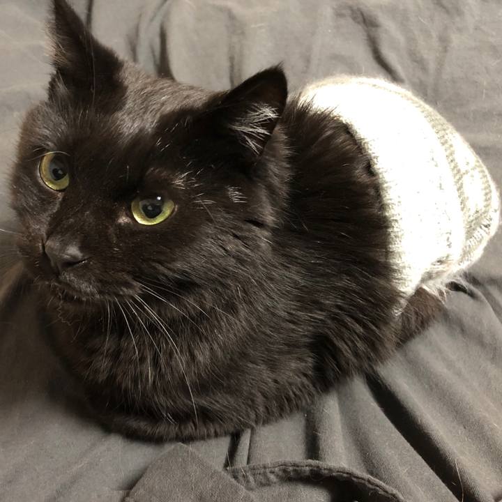 C2d6fb3d ce04 4141 a0eb 8641f1d182a8 1605172928008