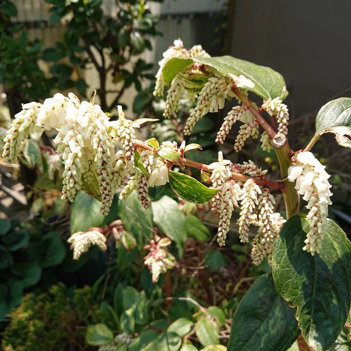 C2d6fce2 6096 4322 a89b b88d318add26 1555730573863