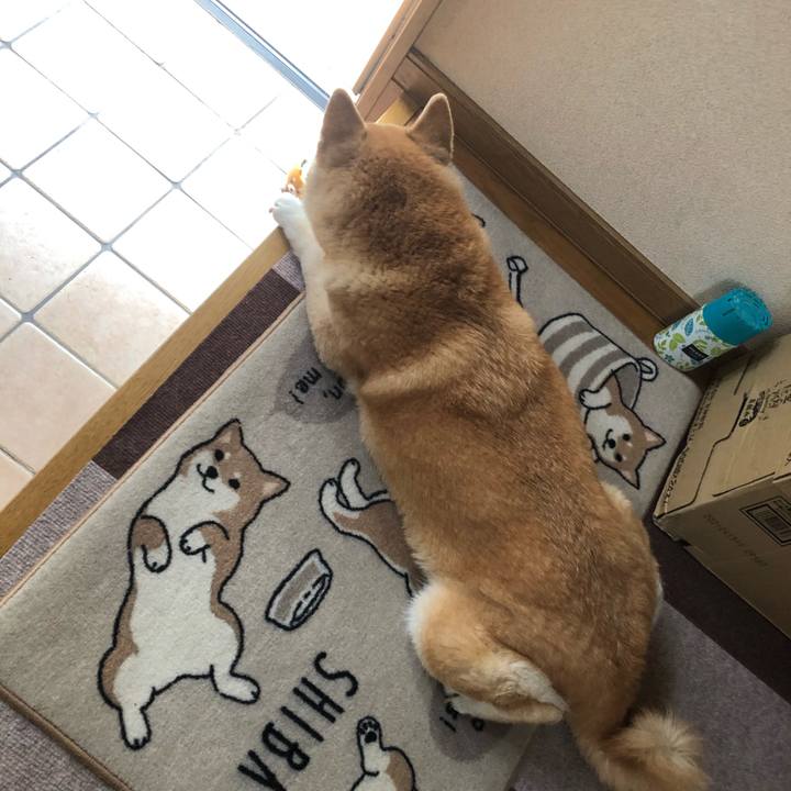 C2d703e4 cfc4 4d63 b890 0e9009a7f300 1591879593937