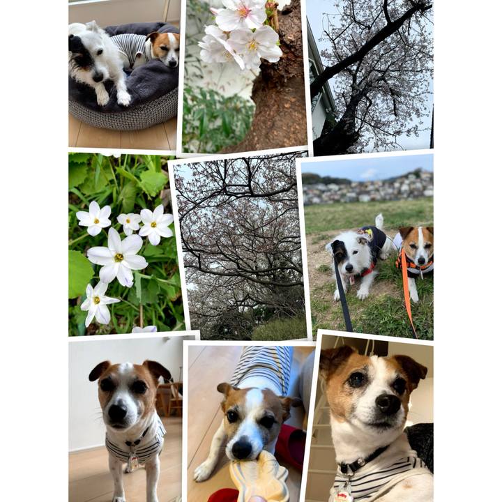 C2d70eae 5de5 4c6e a3d9 85801a77a2d1 1711359752049