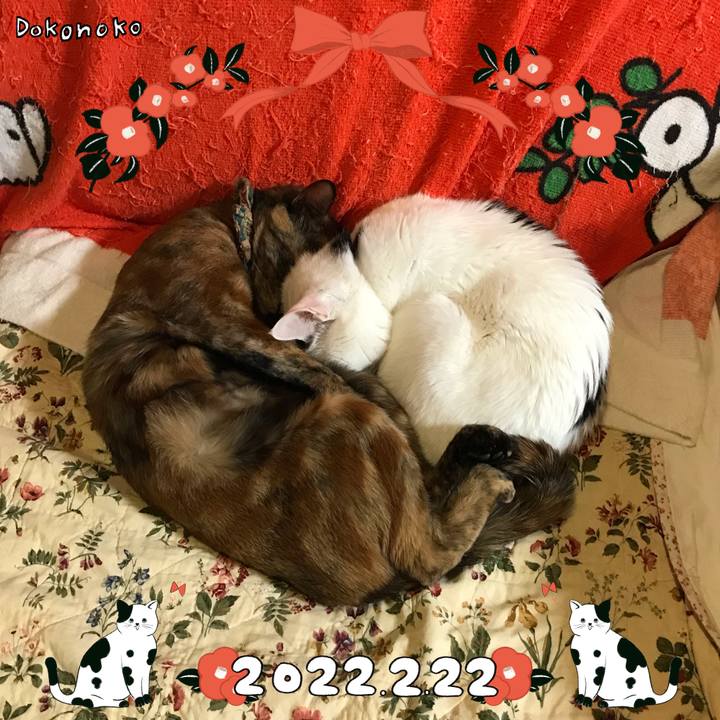 C2d72a45 6dd6 4581 a250 ca8d4e061019 1645525284271