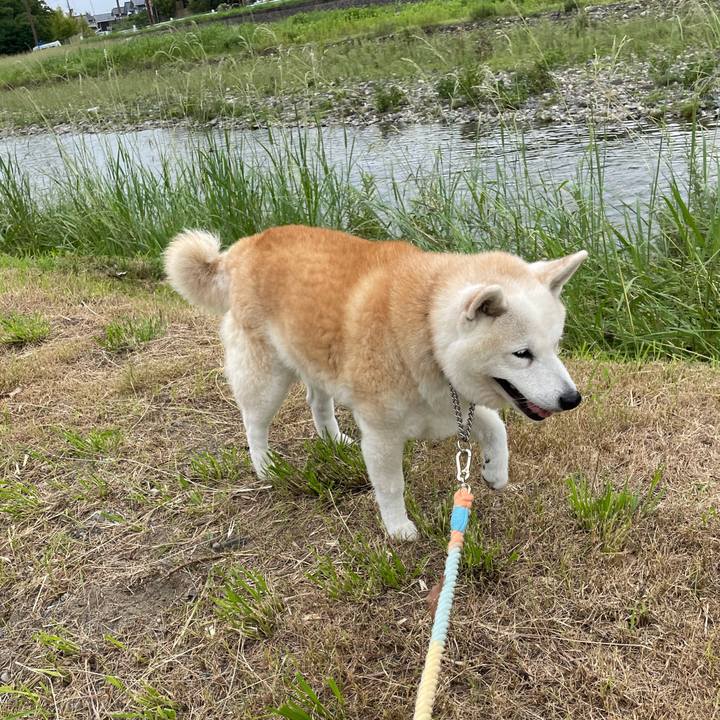 C2d73fe7 6d98 4a48 9ac3 c454f24a5e66 1661730613925