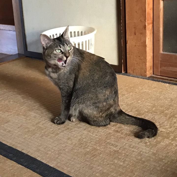 C2d73ff4 25eb 4b72 b899 71f3231e9d7a 1604444296240