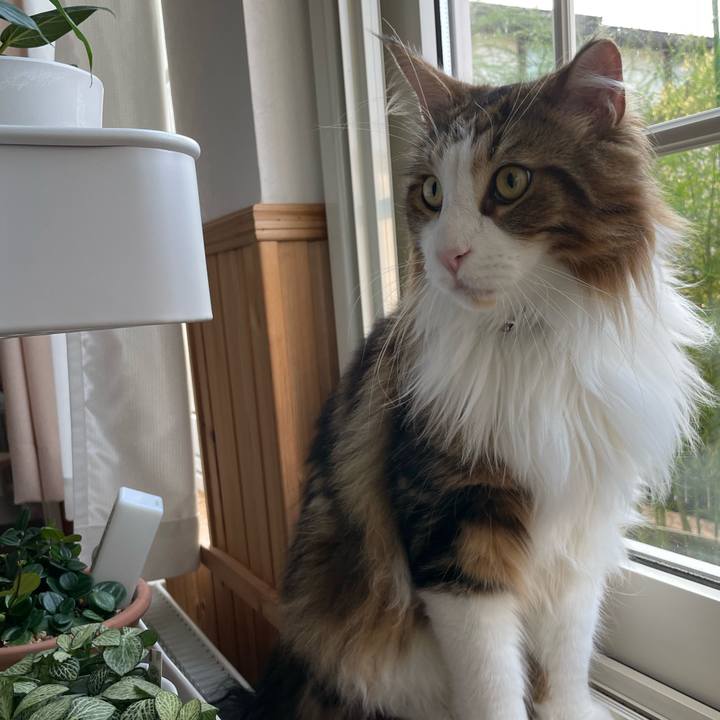 C2d74844 31ae 4ad0 bbf8 132d78a85bff 1656880375551