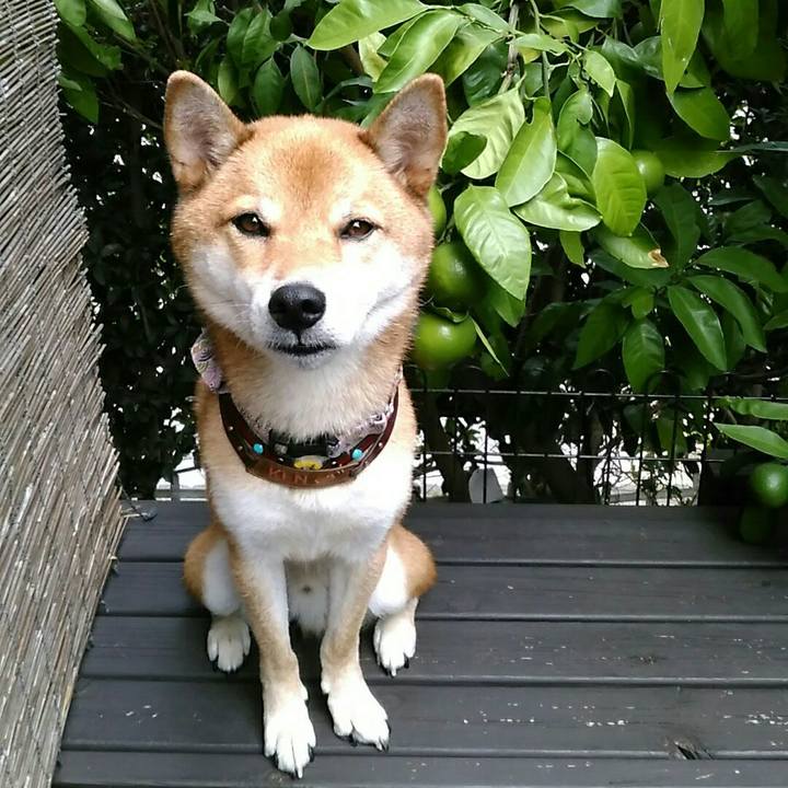 C2d7780c 07dc 4f88 9bb0 658843d55c64 1536375269580