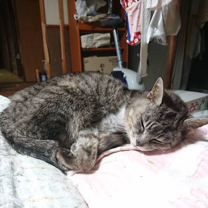 C2d7c8d6 6737 4cf1 8b5d a01f2230f3e6 1592397469830