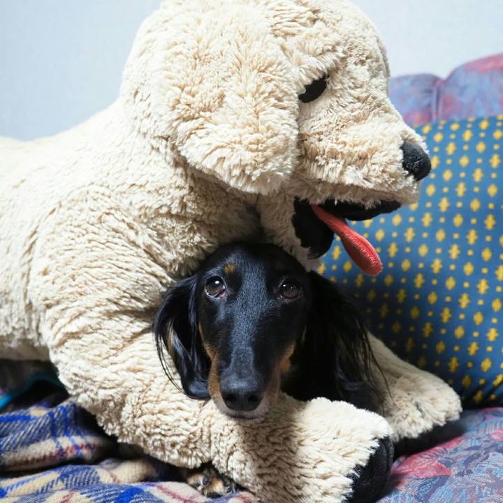 C2d7f945 4c77 4344 b036 a3d1419857e9 1560057355635