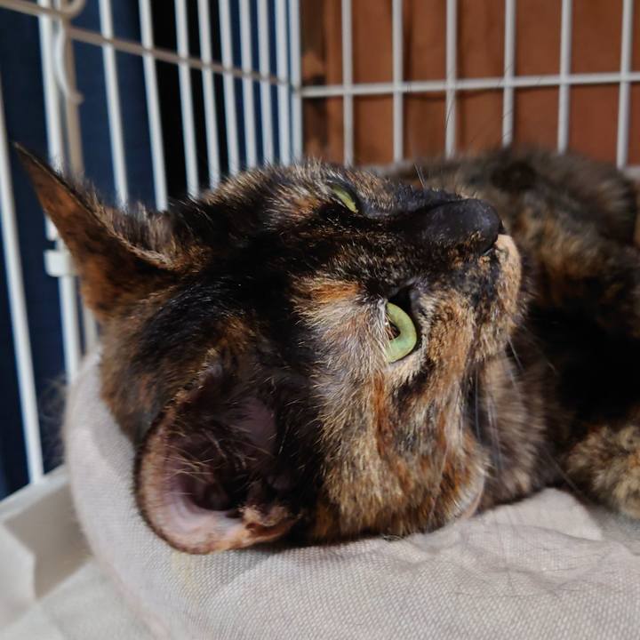 C2d81913 f5e0 498f a74e bf00ace3cbbb 1655251707175