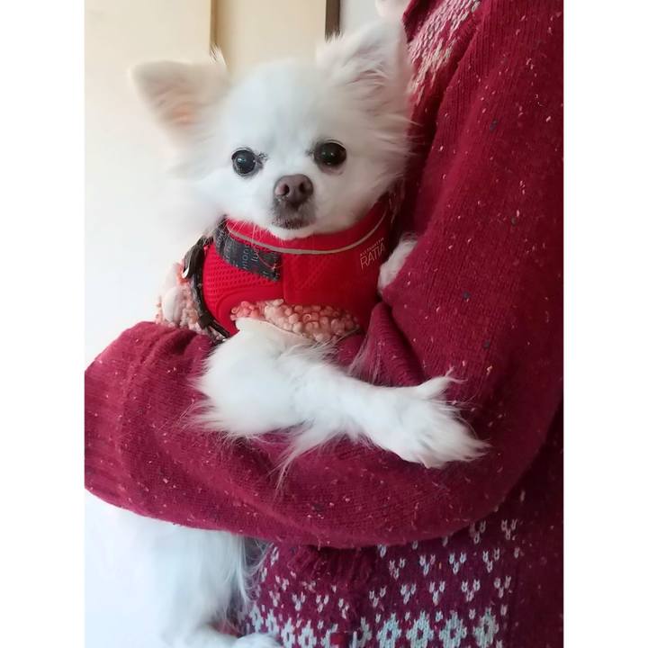 C2d851b9 c0b9 4eae 8a87 b4d82ca84ff6 1643894766840