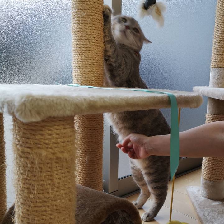 C2d8686e 2509 4675 81e7 ef911314a9f3 1569571940202