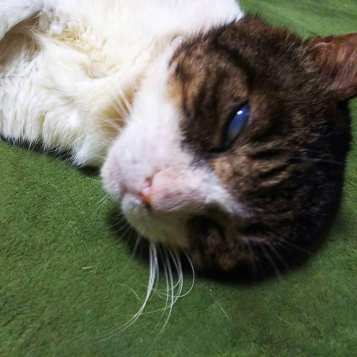 C2d89012 8000 4a89 b1ce cb9ca2841137 1574242962205