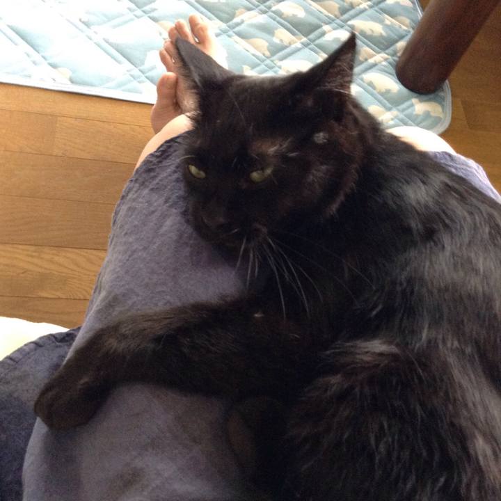 C2d8b4ae 2d0d 43e7 994b 83798279b650 1533367338567