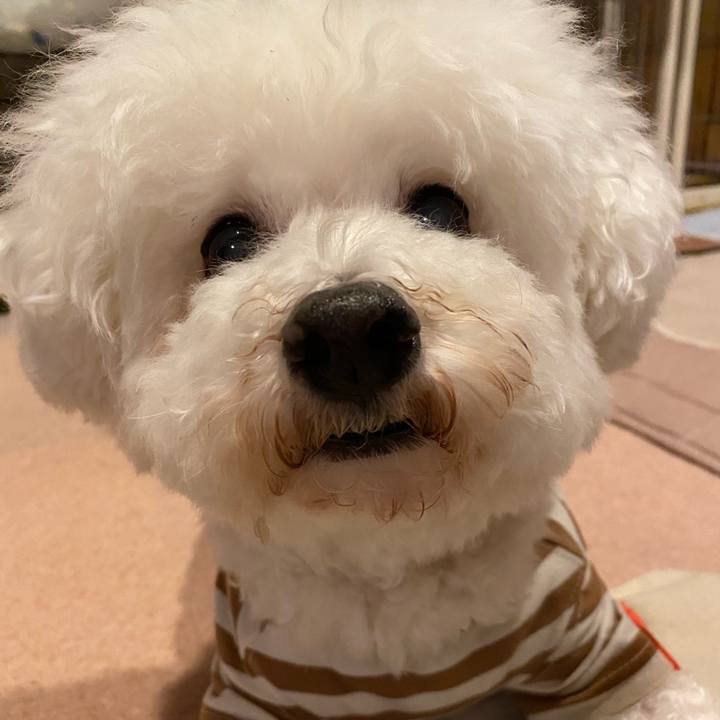 C2d8d1f3 edba 42bd 8a29 22680983bea1 1698308778710