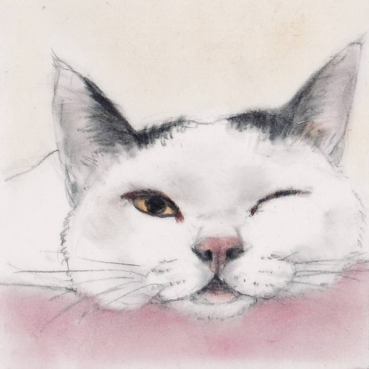 C2d8edce ed37 453a abed c0da40e97bfe 1744591711707