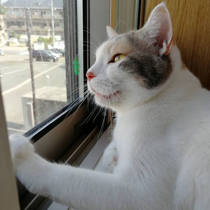 C2d91fcf 3236 4bf0 beee 3b6fb7bd84c3 1563148338317