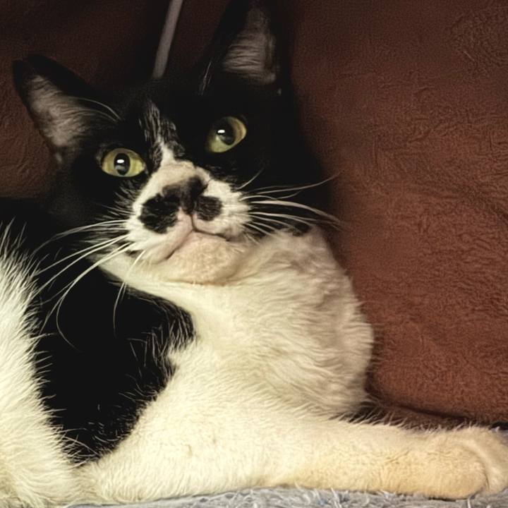 C2d92807 71a0 42cb 9a72 b07d9594aef0 1739319919086