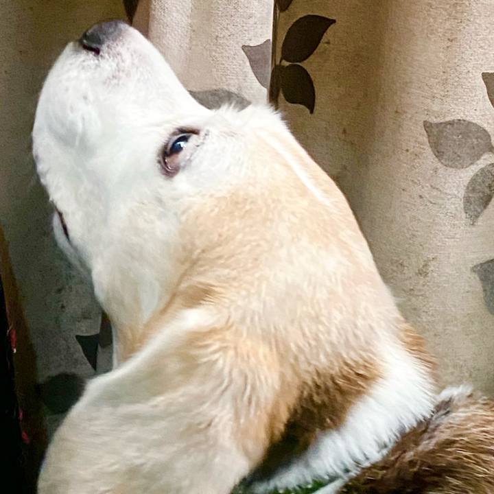 C2d9624c e48a 49de b94a 3eedc81f77b3 1652761178427