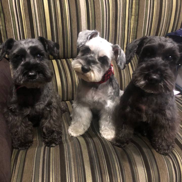 C2da0ae9 a5d7 4f7e bb98 21d5f6ff41f0 1579771941708