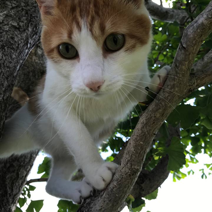 C2da2322 baac 4789 ad40 a1a84be15707 1534295331997