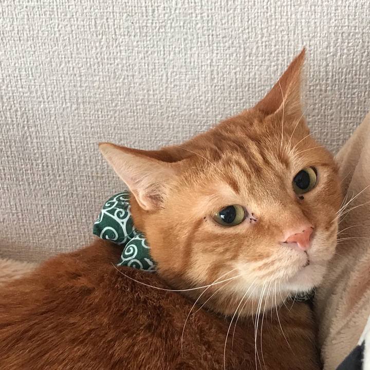 C2da3924 fc7d 4e52 ab83 8a346a33ad42 1547436974994