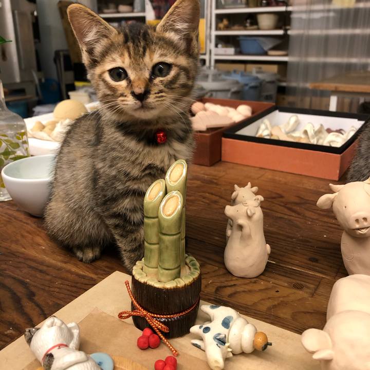 C2da40e1 2799 493f 9e39 7fd2570291fa 1602382828872