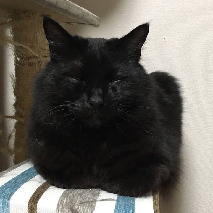 C2dabe07 c6f1 46ac a03f 565d35842e9b 1524669477742