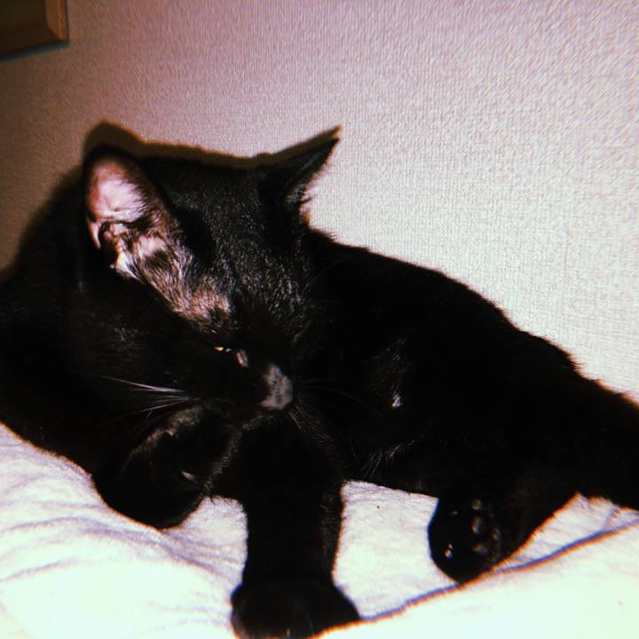 C2dac589 4f7c 4972 a576 ecb349e84896 1544954443504