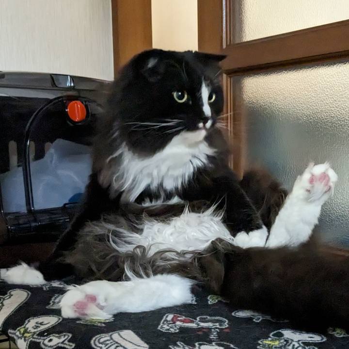 C2db10e8 7b55 40be ae4d 97e7e4c09b09 1707527596951