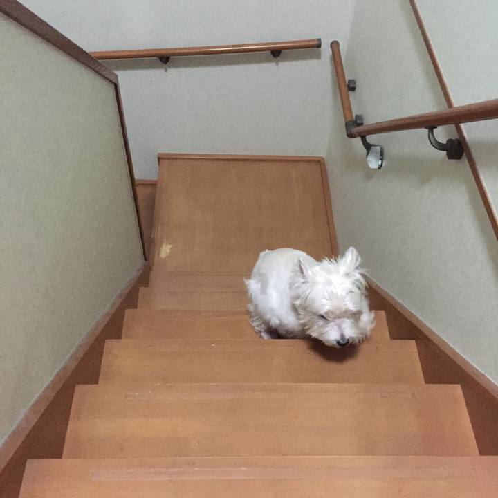 C2db4e10 7508 403a 9da9 7e6d8a9ed534 1526039262204