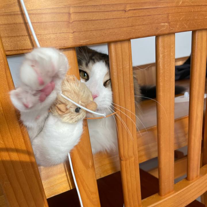 C2db4ebc 4d6b 478b 873e 1a95c066bbca 1639271889521