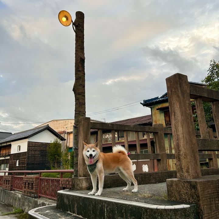 C2db5590 bc5a 40e9 9970 a585ae43746a 1726483856886